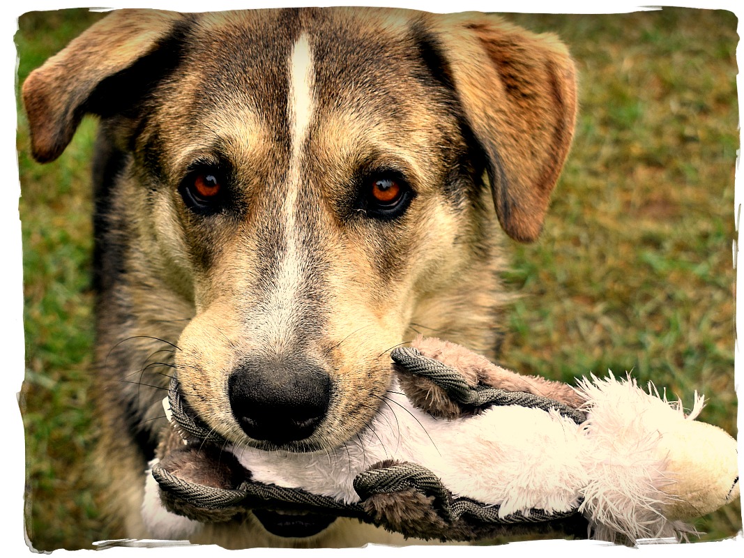 DSC_0692 - Version 2.jpg