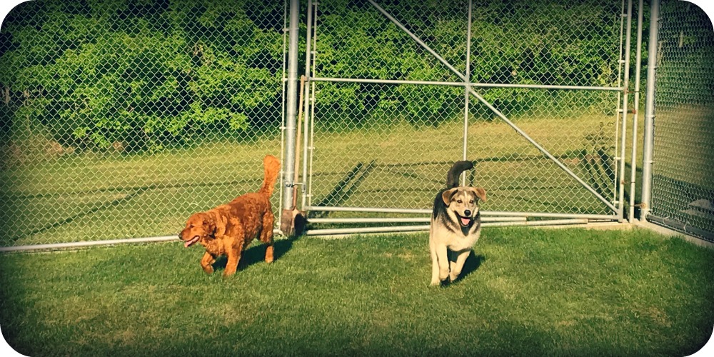 IMG_2508 - Version 2.jpg