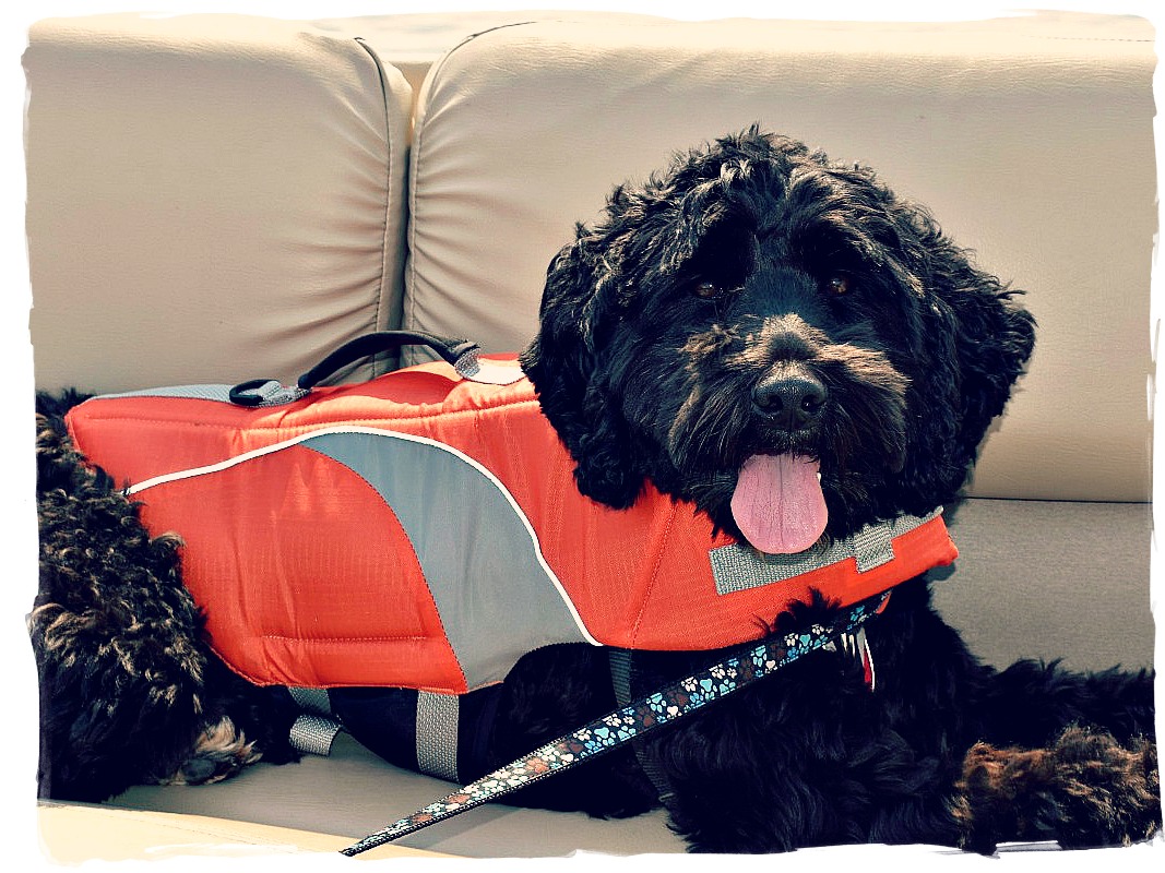 DSC_0564 - Version 2.jpg