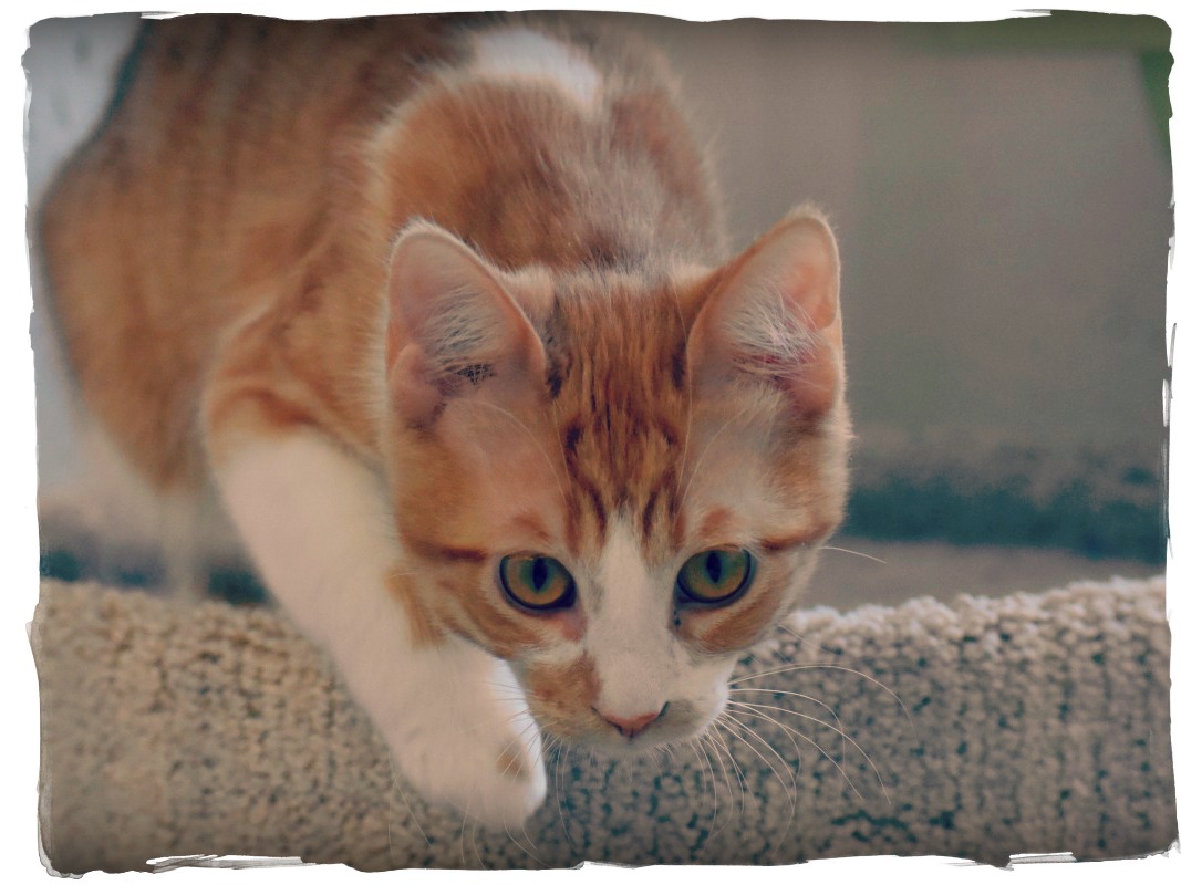 DSC_0101 - Version 2.jpg