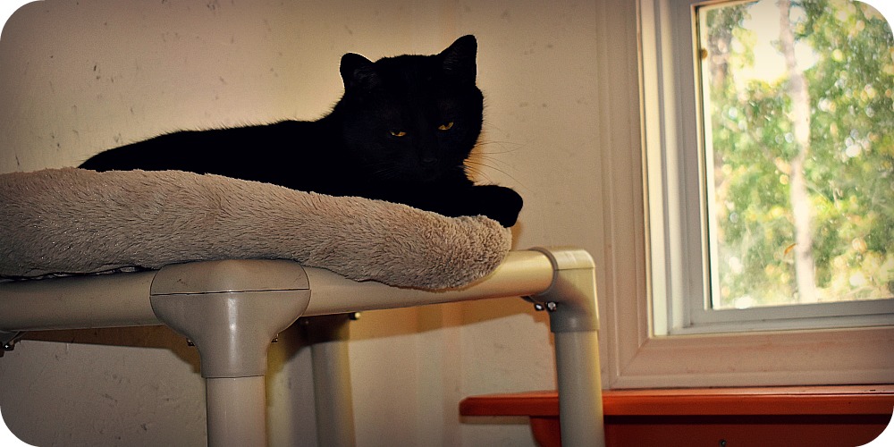 DSC_0481 - Version 2.jpg