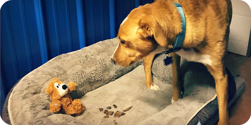 IMG_1734 - Version 2.jpg